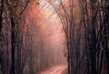 杏彩体育官方入口-宁夏球队展现出色,奋勇晋级下一轮的辉煌时刻